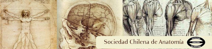 Sociedad Chilena de Anatomía
