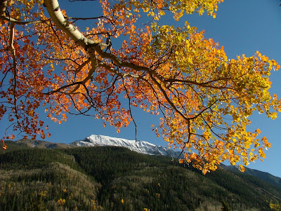 Autumn Color on Cinnamon Pass