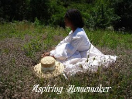 Aspiring Homemaker Blog