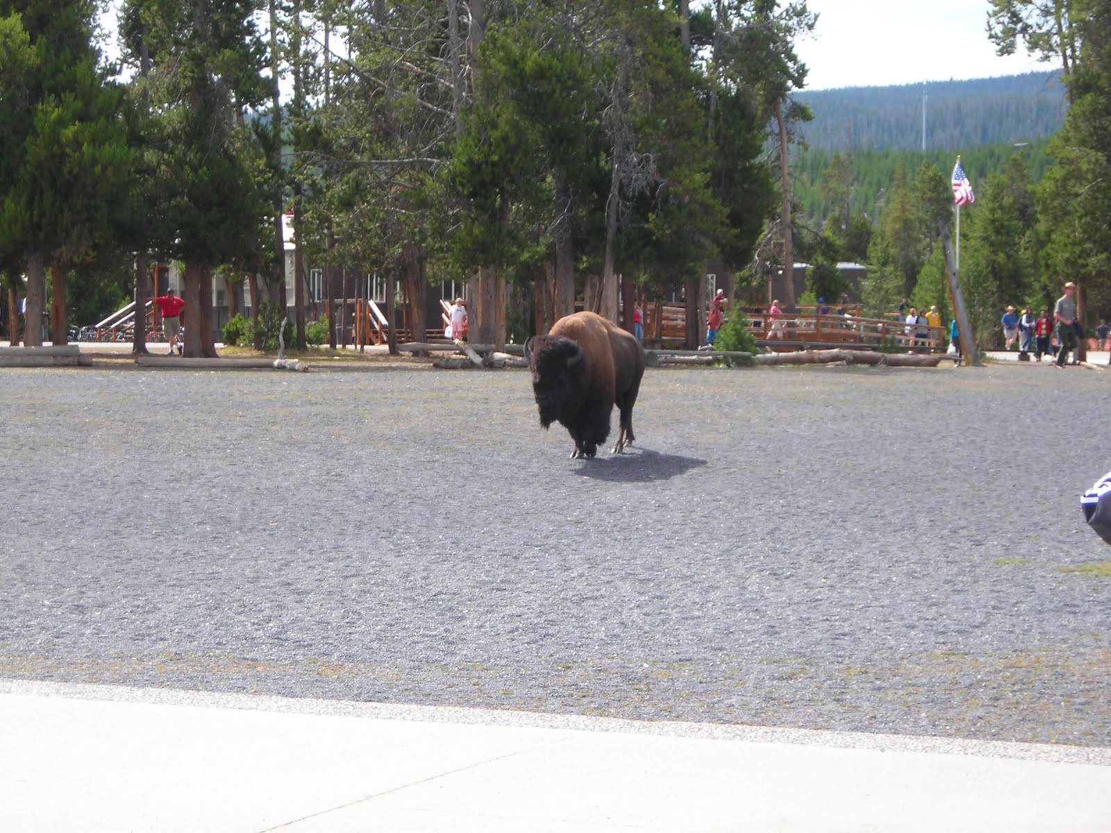 [Yellowstone+September+7,+2009+017.jpg]