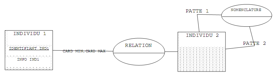 Cours sur les modèles du niveau conceptuel Analyse Merise : Le modèle ...