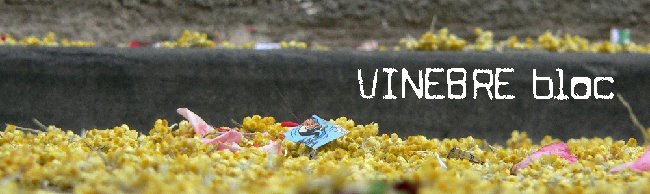 VINEBRE BLOC