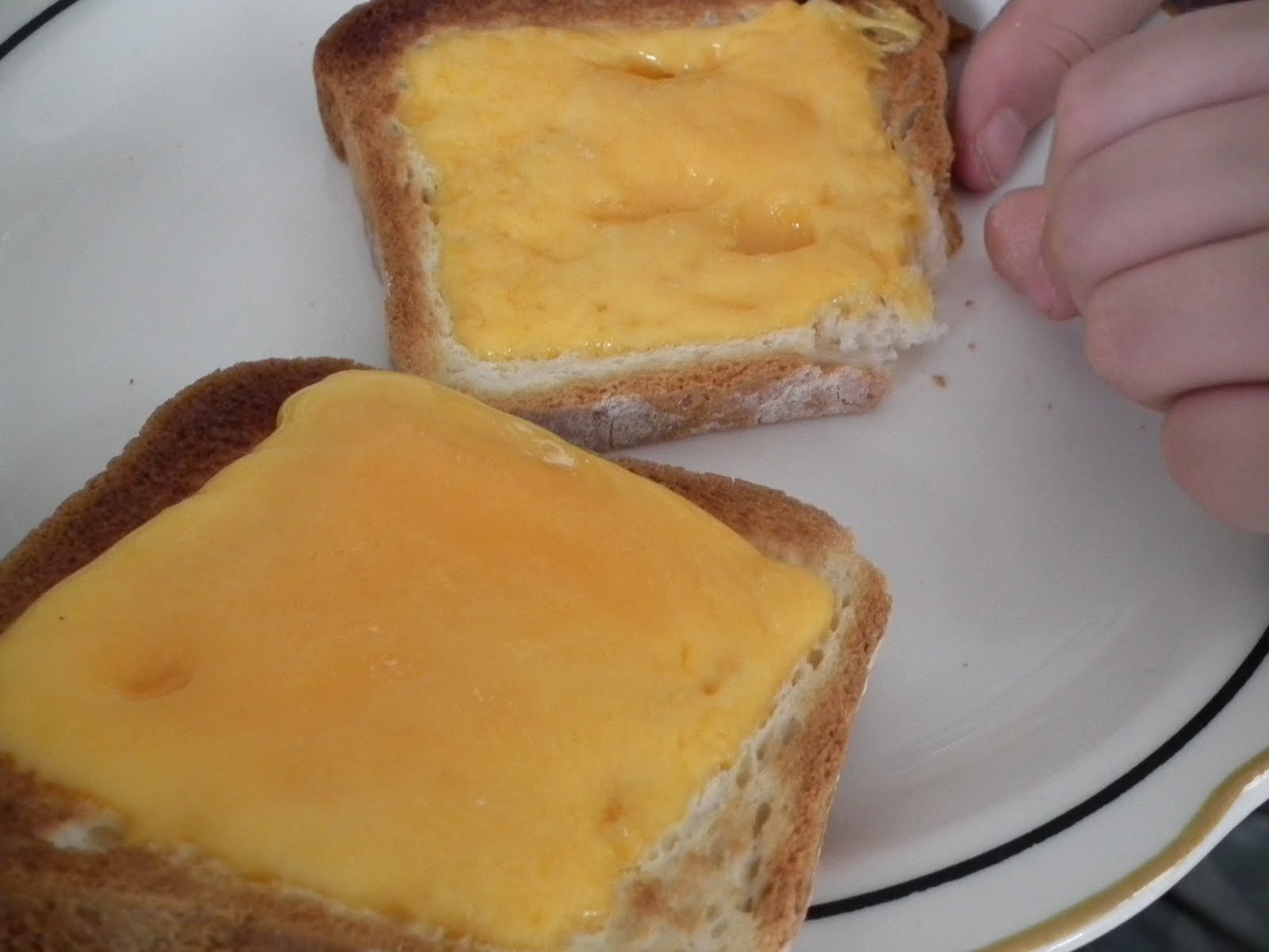 Fling it in the Pan Cooking Cheese Toast Easy Quick Tasty