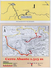 Rutas ornitologicas Sierra de las Nieves