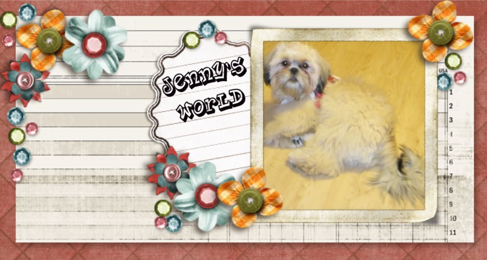 Jenny's World