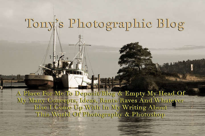 Tony's Photographic Blogger