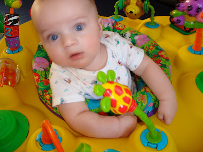 Taylor Plus Triplets: Baby Boys