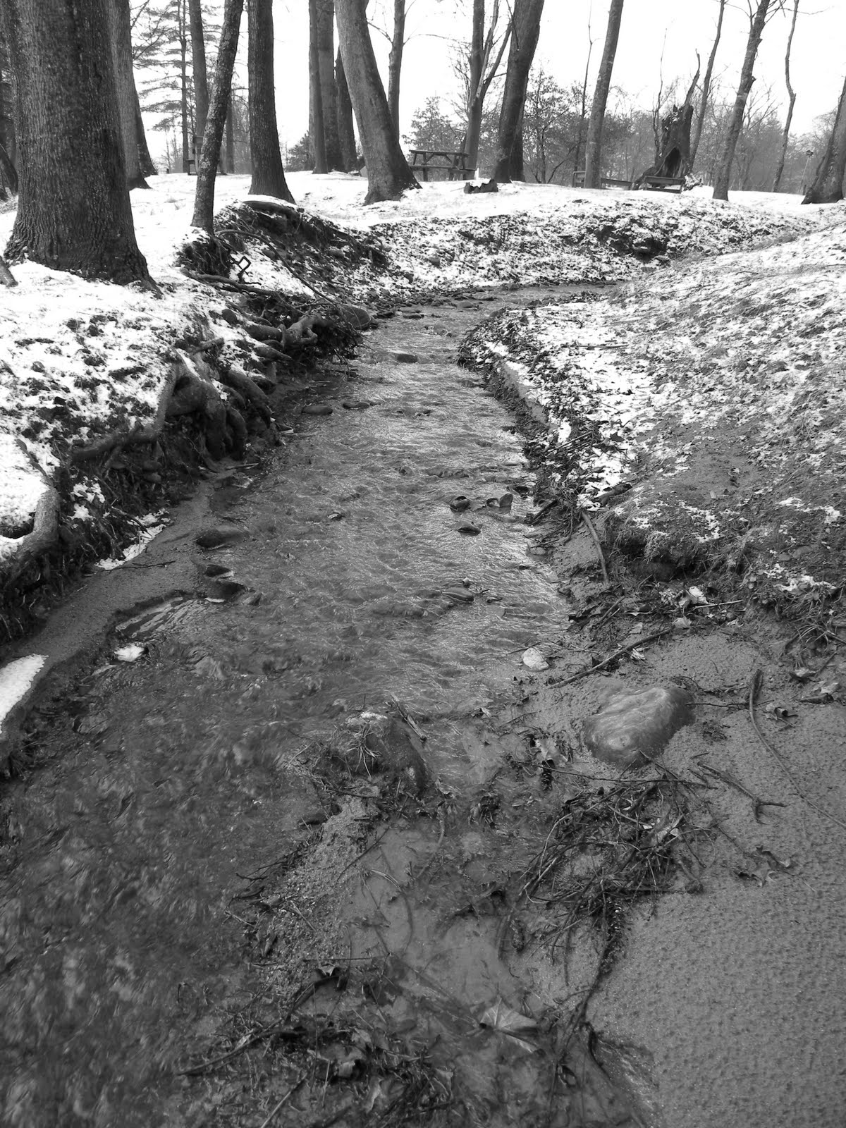 Adventurebound8 North Carolina; Waynesville; Snowing 28 degrees