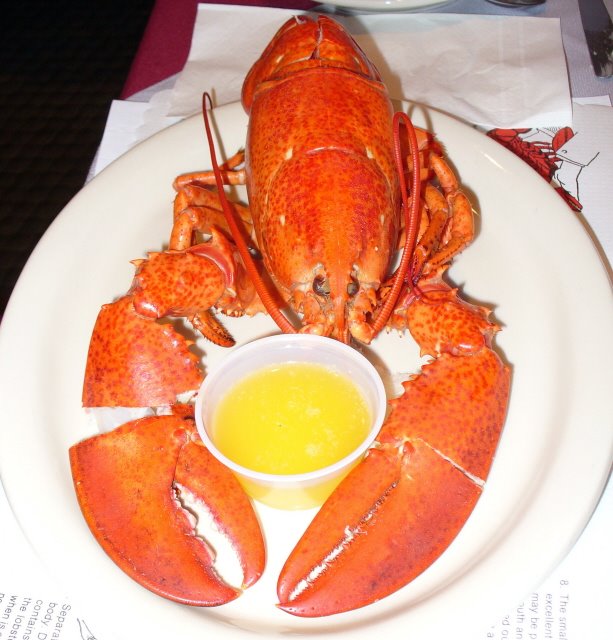 [Nfld+lobster+2.jpg]