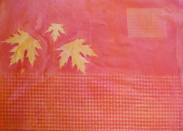 [Paints+sunprint.jpg]