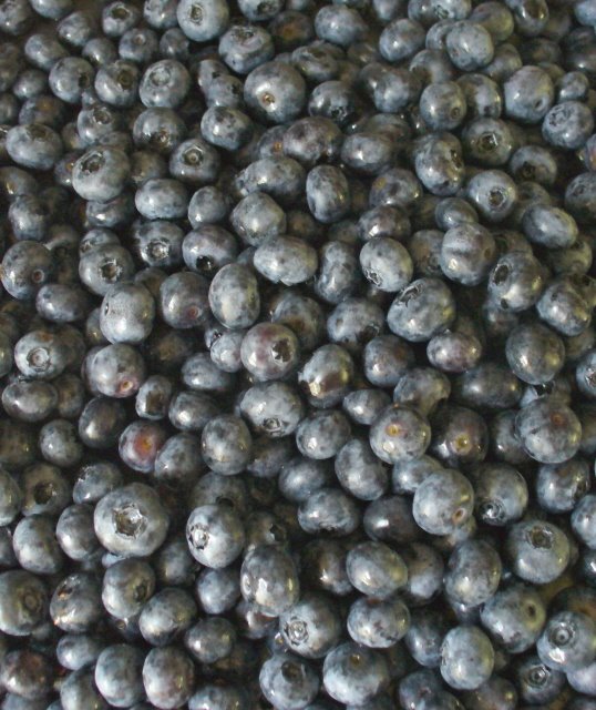 [blueberries.jpg]