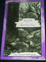 Look For The Butterfly by Colleen Dahlgren
