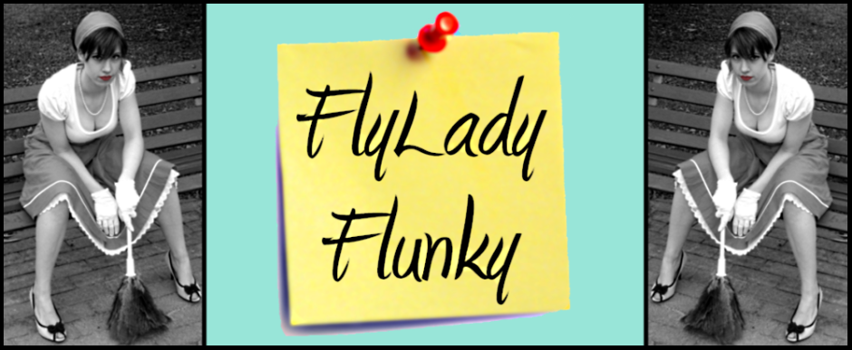 FlyLady Flunky