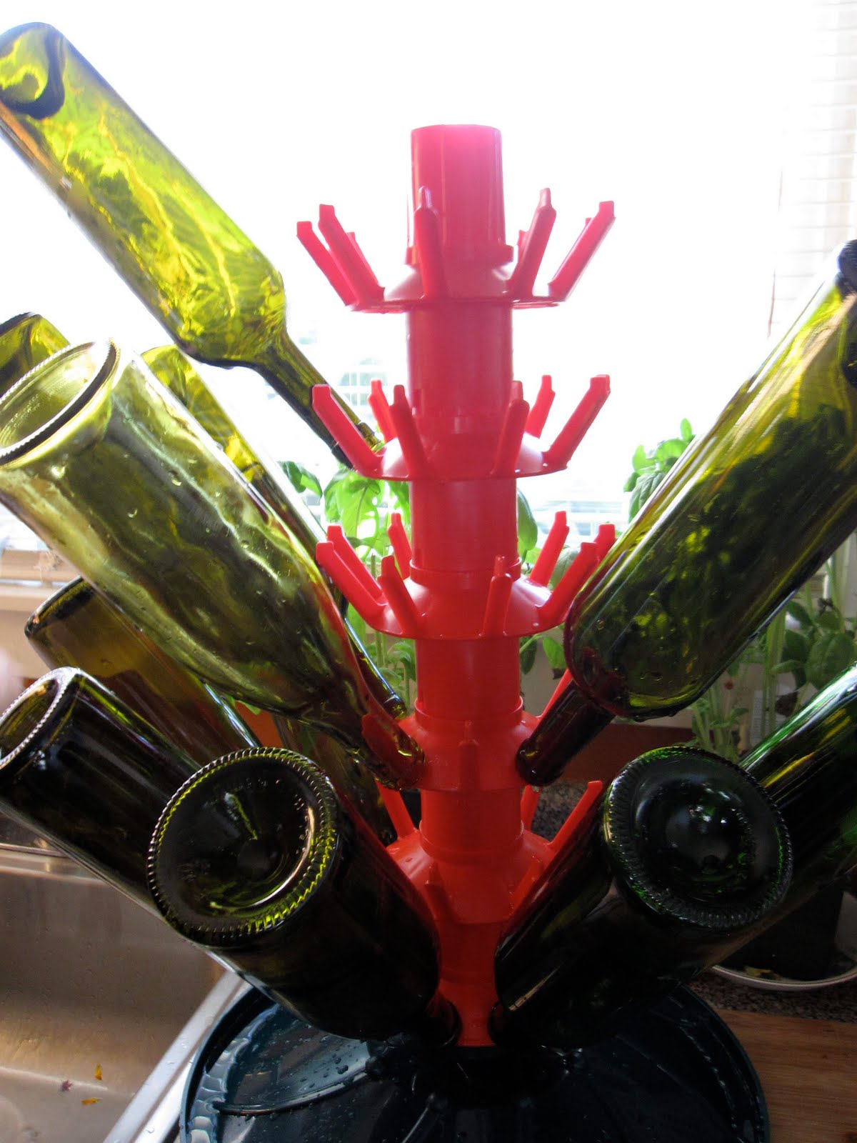 Found Fruit Racking and bottling Wine 101