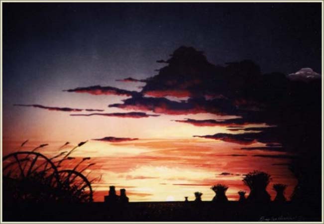 grainfield sunset