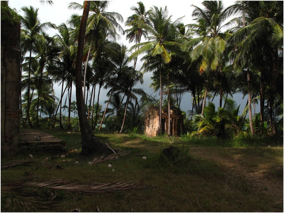 CERGIPONTIN Ile St Joseph (Guyane) la pluie et le vent *** rain and wind