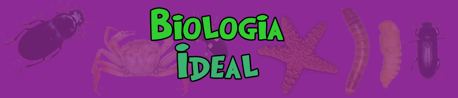 Biologia Ideal