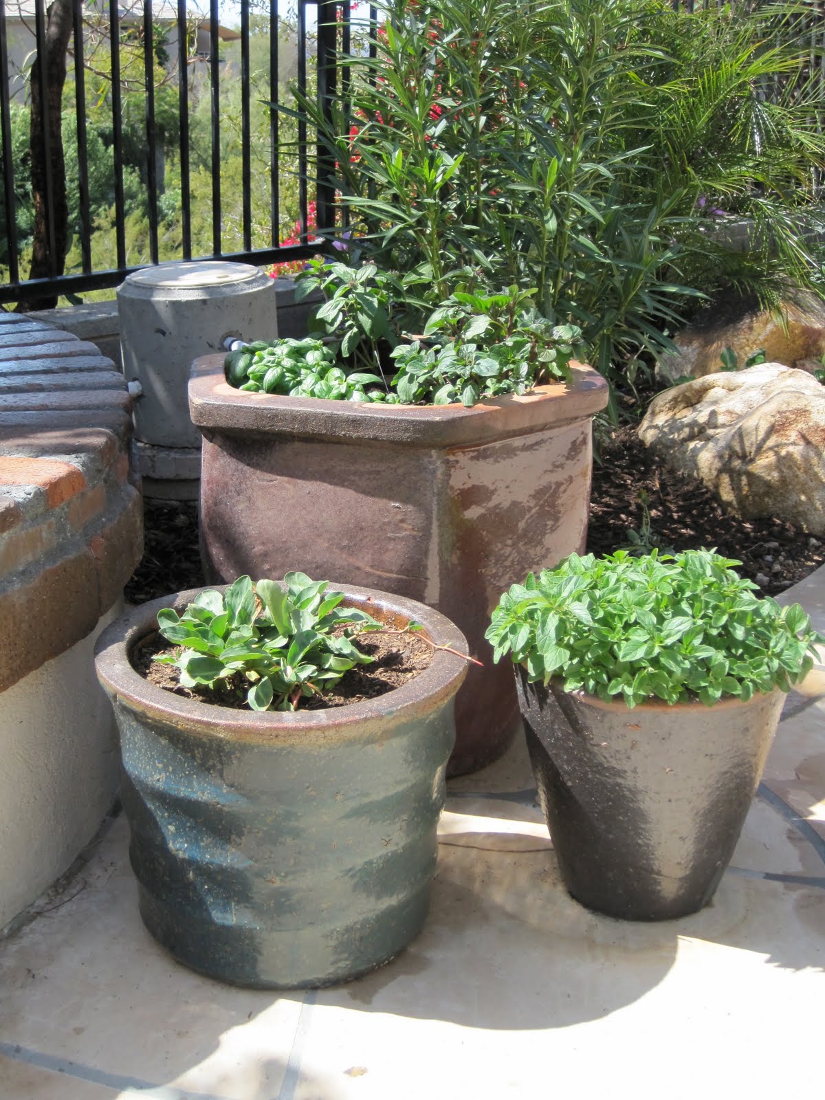 Wright in the Garden Renee Walter Backyard containers