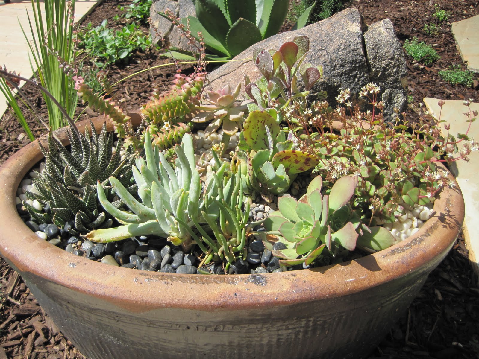 Wright in the Garden Renee Walter Backyard containers