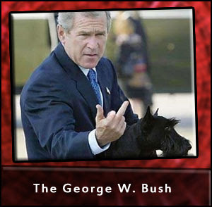 George W Bush Gives The Finger