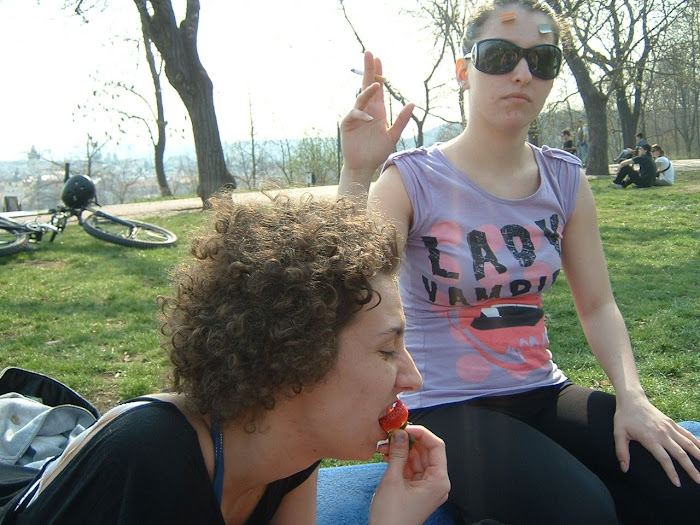 Marty likes strawberries: Letna