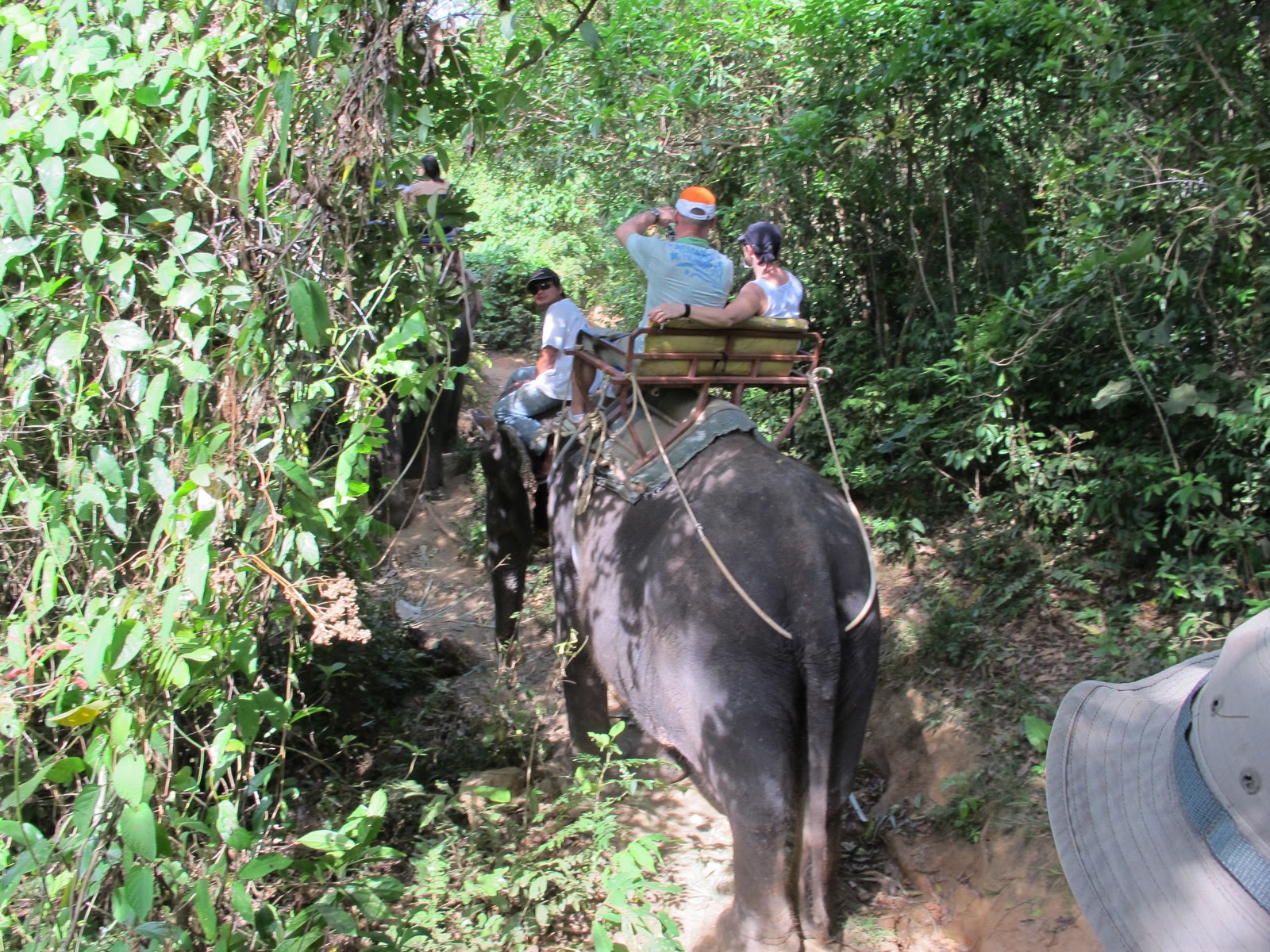 It's what i do: Ride to Phuket
