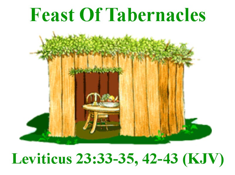 The Most High God's Holy Days (Photos Style) Feast Of Tabernacles