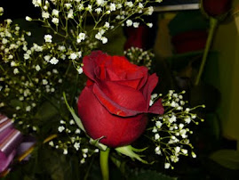 La rosa del amor eterno