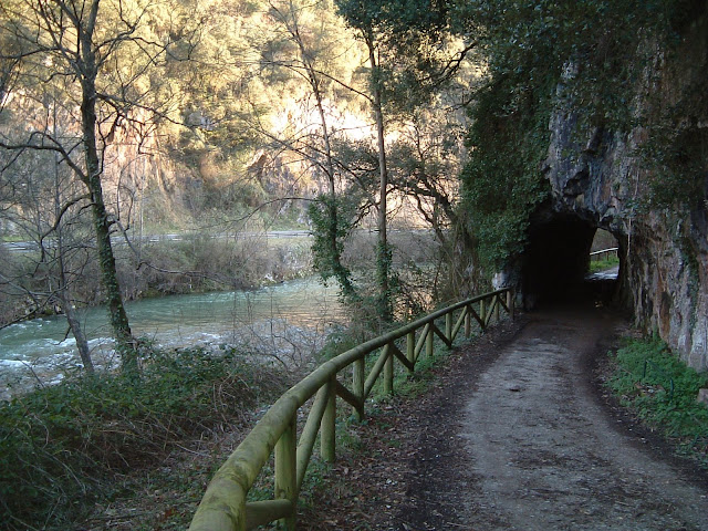 Foto de Área recreativa de Tuñón en Santo Adriano, Asturias
