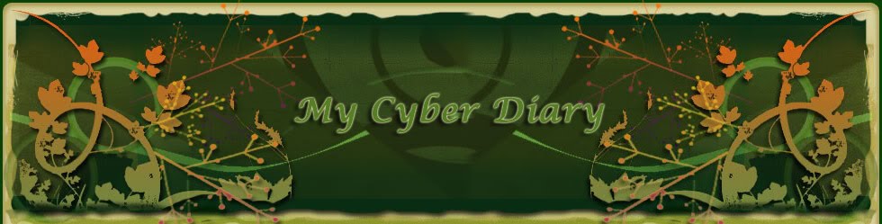 My cyber diary
