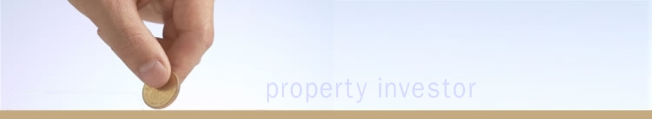 The Property Developer
