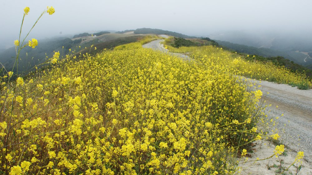 [TrailsEnd00995www.jpg]