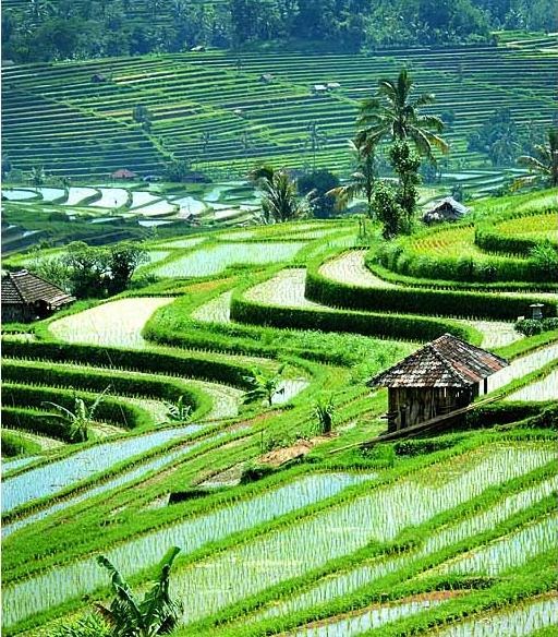 How can you make a page on instagram Apa itu manajemen destinasi pariwisata