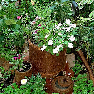 rusty+pail+flowers.jpg