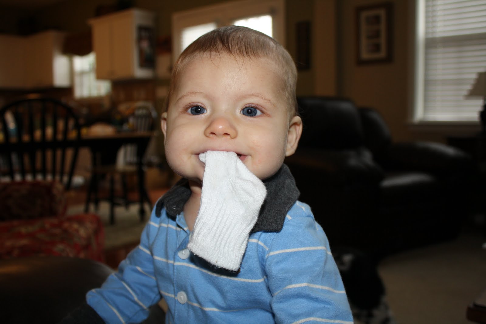 The Cone Family Put a sock in it!