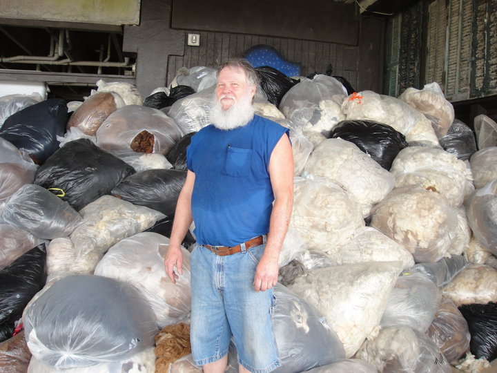 Entwined Oil Spills and Animal Hair