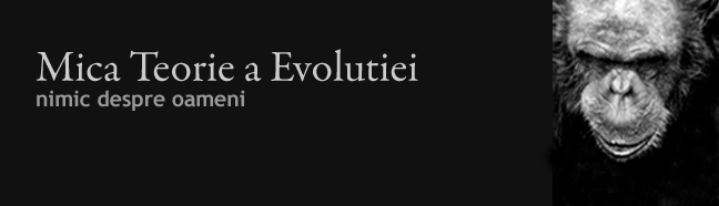 Mica Teorie a Evolutiei