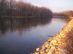 View of the Wolf River