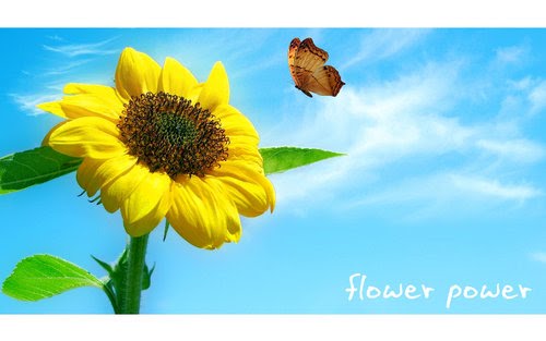 Mensagens carinho figurinhas smile tarde andreia andreza hug postagens orkutudo imagensbomdia sonhadora ravenna camponesa nascer Deixa entrar o sol: Bom dia, Sol!