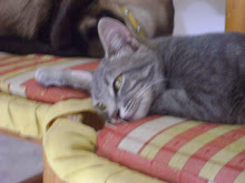 La santa de la casa (? segun papá