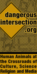 dangerous intersection blog