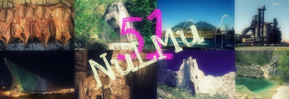 NuLMu51