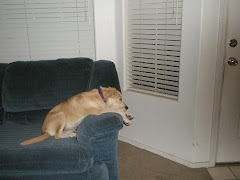 sadie