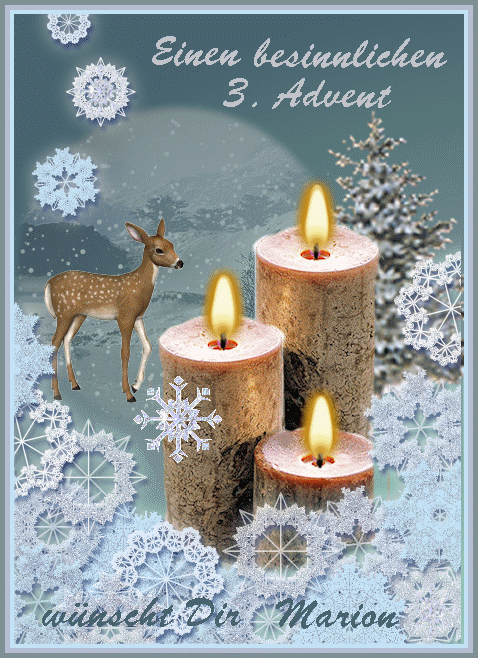 Maribaeren: 3. Advent