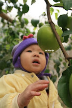 小耘 棗子三步曲