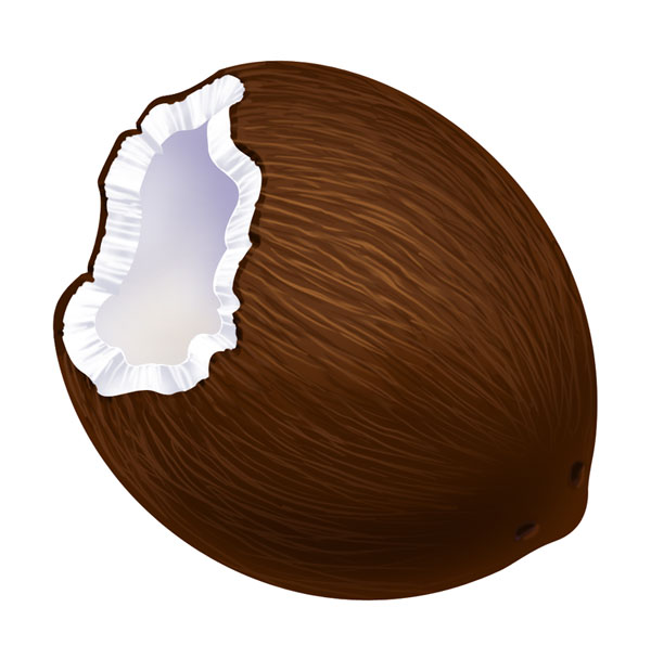 [coconut.jpg]