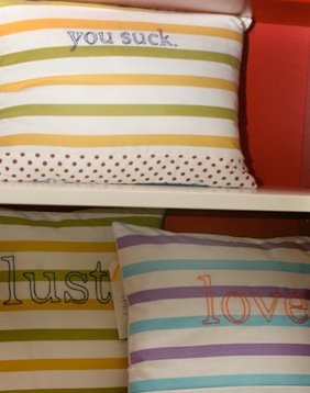 Articulate Pillows by Lara Davis