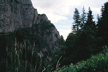 Bucegi - brana portitei