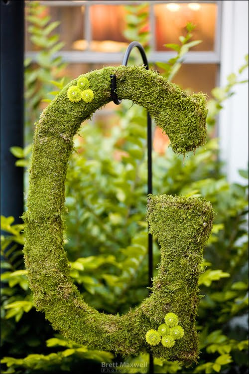 Kalamazoo Michigan Wedding Flowers