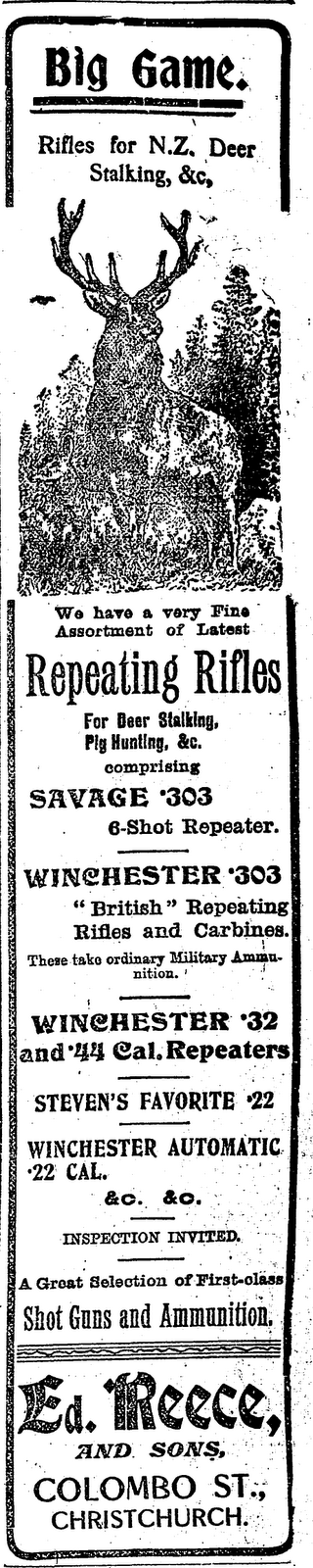 [Reece+&+Sons+Ad+Star+10+June+1905.gif]